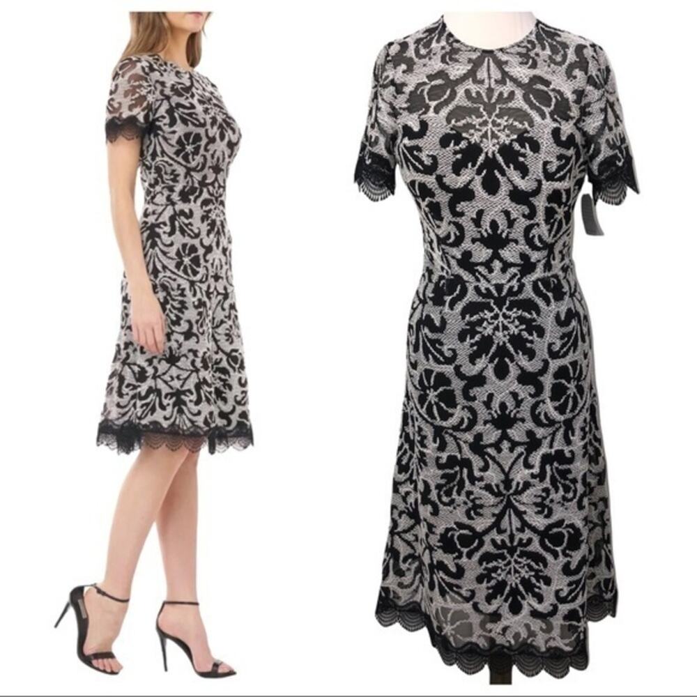 JS Collections Embroidered Lace Scalloped Trim Cocktail Dress Size 2 NWOT